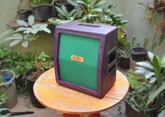 ELD POWER CABINETS MODELERS 1x12" 100W FRFR