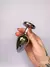 G| PLUG ANAL REDONDO DE AÇO INOXIDÁVEL CÔNICO COM CRISTAL ARREDONDADO LD IMPORT - loja online