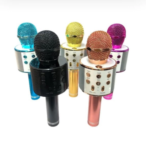 Micrófono Karaoke Hytoshy Con Parlante