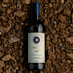 Sassicaia 2021 na internet