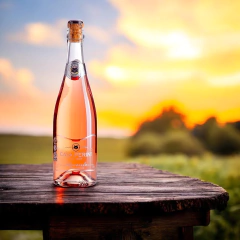 Espumante Casa Perini Aquarela 750ml na internet