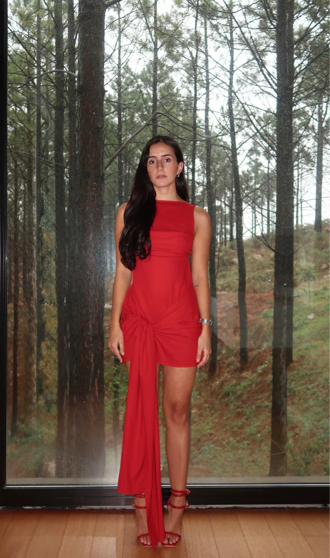 Vestido Aurora Rojo - comprar online