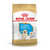 ROYAL CANIN GOLDEN JUNIOR X 12KG. (01258)