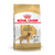 ROYAL CANIN GOLDEN X 12KG. (01259)