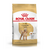 ROYAL CANIN CANICHE ADULTO X 1KG (01346)