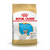 ROYAL CANIN BULLDOG FRANCES JUNIOR X 3KG (02466)