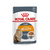 ROYAL CANIN HAIR Y SKIN X 85GRS (02784)