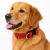 COLLAR REGULABLE LISO T-4 en internet