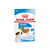 ROYAL CANIN MINI PUPPY POUCH X 85GRS (22818)