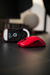 OGM CLOUD XS - tienda online