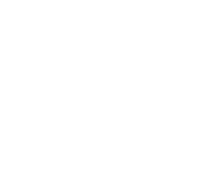 waizowl