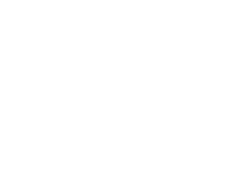 waizowl