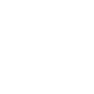 waizowl