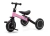 Triciclo Camicleta Bicicleta Para Bebes Niños 2 En 1 Love en internet
