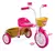 Triciclo Princesas - Nathor