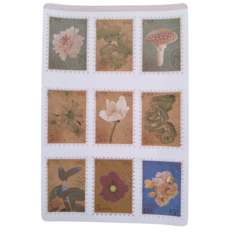 Adesivo Coleção Botânica Vintage