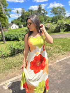 Virgínia na internet