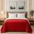 Cobertor Casal Zurich Dupla Face Manta Flannel Sherpa Lã De Carneiro 1,80 X 2,20 Vermelho