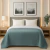 Cobertor Casal Zurich Dupla Face Manta Flannel Sherpa Lã De Carneiro 1,80 X 2,20 Verde