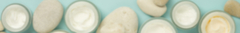 Banner de la categoría Seca
