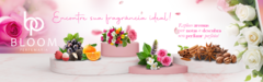 Banner da categoria Orquídea Secreta