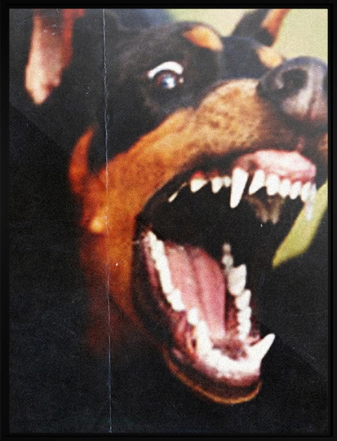 Without Warning - comprar online