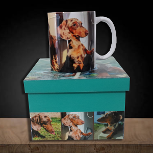 BOX TAZA | BOX MATE