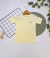 CAMISAS BORDADA LACOSTE MENINOS 51720