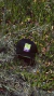 Patch Trucker Cap