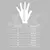 Guantes de Arquero SAJAK | Arko 25 White & Green - tienda online