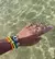 MIX PRAIA