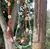 CHOCKER JARDIM
