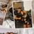 FOTO 8X10 - KIT COM 30 FOTOS