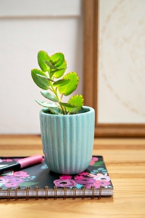 CONTENEDOR MULTIUSO DE CERAMICA RAYITAS