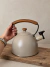 PAVA SILVADORA DE ACERO INOXIDABLE 2.5 LITROS COLOR ARENA