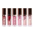 Ushas Lip Gloss Shiny