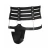 Cinto de Castidade Feminino Ultimate Bondage