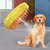 Escova de vapor para animais de estimação 3 em 1 - loja online