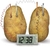 POTATO CLOCK ENERGIA RENOVABLE FM275 - comprar online