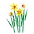 LEGO 40747 NARCISOS en internet