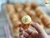 Cannoli Folhado Creme Baunilhado: Delícia Irresistível!