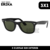 Edición Exclusiva 3x1: Ray-Ban: Erika, Aviator y Wayfarer" - Raffine