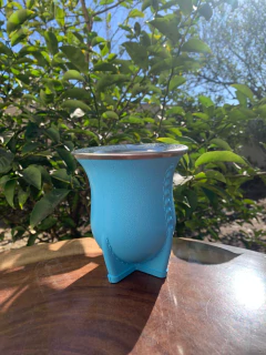 Cuia de Chimarrão Porongo Torpedo Bocal Inox Colorida + Tapa Erva - InemoChimas