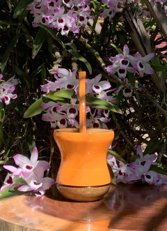 Kit Chimarrão: Cuia de Madeira + Bomba Inox Colorida PRIMAVERA Diversas Cores