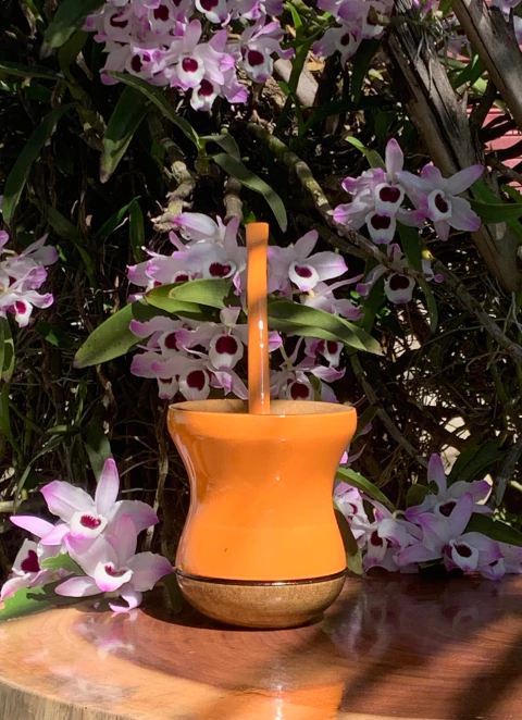 Kit Chimarrão: Cuia de Madeira + Bomba Inox Colorida PRIMAVERA Diversas Cores