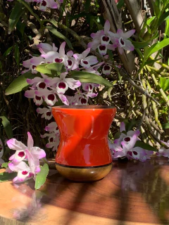 Cuia Para Chimarrão em Madeira PRIMAVERA Diversas Cores na internet