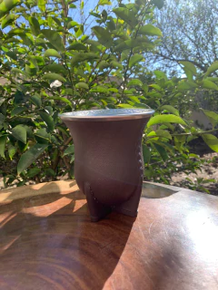 Cuia de Chimarrão Porongo Torpedo Bocal Inox Colorida + Tapa Erva - comprar online