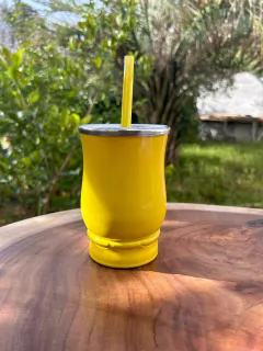 Kit Tereré: Cuia + Bomba de Inox Colorida Diversas Cores - comprar online