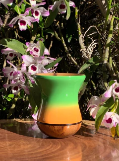 Imagem do Cuia Para Chimarrão em Madeira PRIMAVERA Diversas Cores