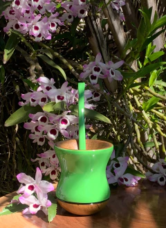 Kit Chimarrão: Cuia de Madeira + Bomba Inox Colorida PRIMAVERA Diversas Cores - comprar online